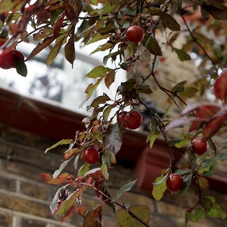 Beautiful London Home Sleeps 6, 2 Minutes To Metro Eksteriør billede