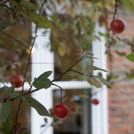 Beautiful London Home Sleeps 6, 2 Minutes To Metro Eksteriør billede