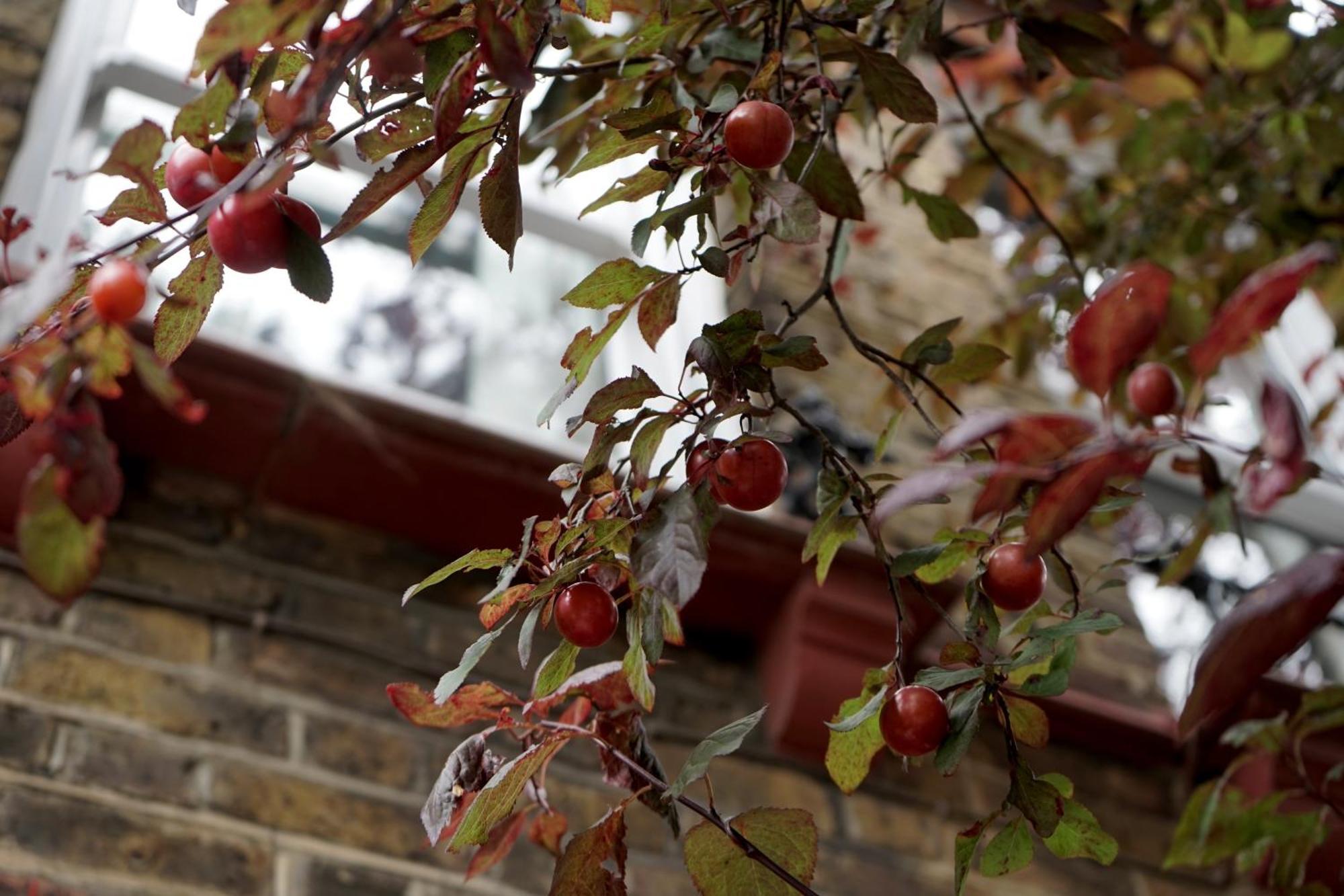 Beautiful London Home Sleeps 6, 2 Minutes To Metro Eksteriør billede